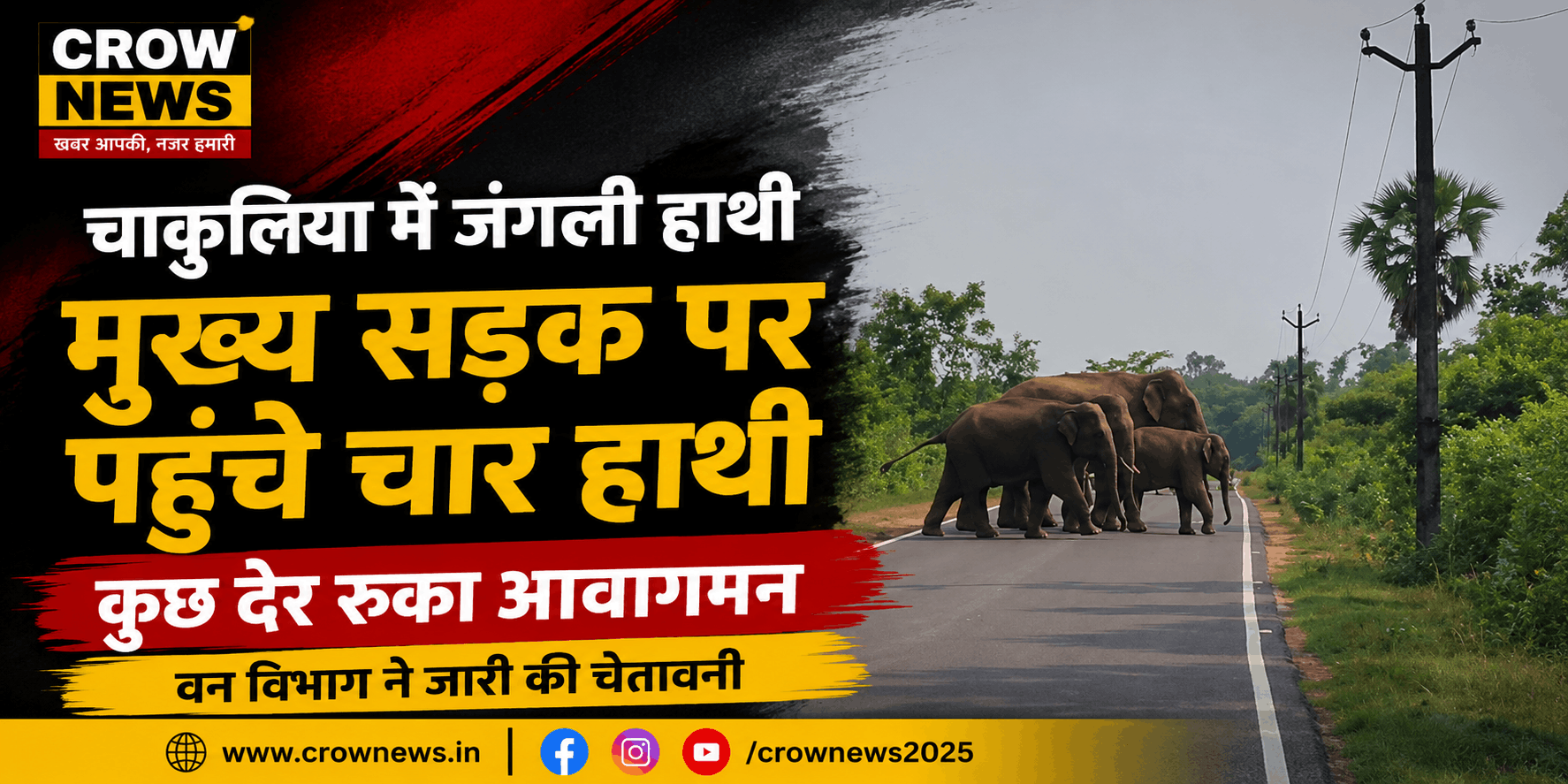चाकुलिया की मुख्य सड़क पर पहुंचे चार जंगली हाथियों का झुंड